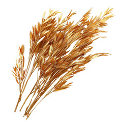 Fototapeta premium Dried golden grass stems arranged in natural bouquet, perfect for home decor or floral arrangements, adding touch of warmth and elegance to any space