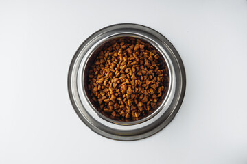 Hungry Scottish Fold Cat Eating Food