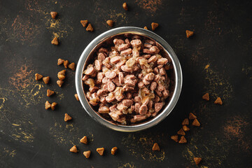 Hungry Scottish Fold Cat Eating Food
