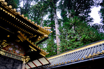 Japan - Nikko