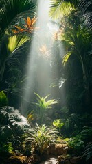 Naklejka premium Soft rays of sunlight stream through dense foliage in a vibrant jungle, illuminating various plants and creating an enchanting atmosphere in the morning
