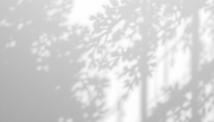Obraz premium Subtle Light and Shadow: A grayscale image showcasing the delicate shadows of tree branches and leaves cast on a wall, creating a serene and calming atmosphere.