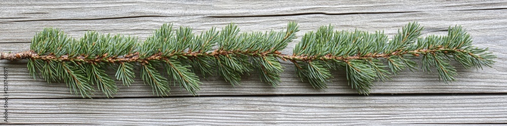 Poster a single pine tree branch rests on a wooden surface, ready for decoration or use in crafts
