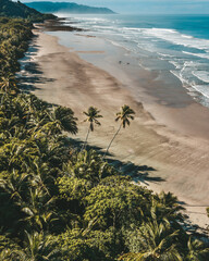view of the beach with trees