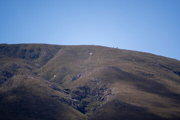 From dawn to dusk, the farm pulses with life as crops grow, bloom, and are gathered with care