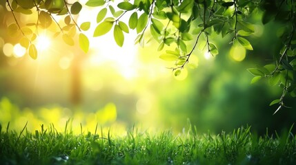 Obraz premium Sunlit Leaves and Grass With Bokeh Effect Emphasizing Natural Beauty And Peaceful Atmosphere