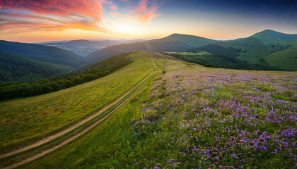 Fototapeta premium summer time milky manner