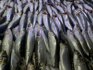 Obraz premium fresh fish at the market