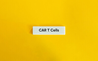 CAR T Cells. Text on Block Letter Tile on Yellow Background. Minimal Aesthetic.