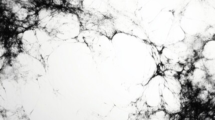 Abstract black and white fractal pattern in organic web structure