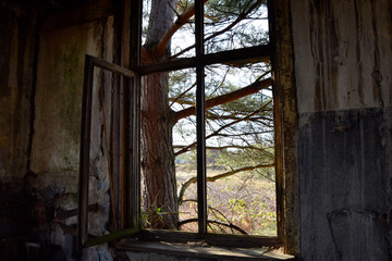 old wooden window