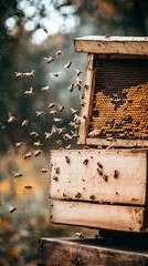 A beekeeper's hive with bees buzzing around wooden frames.