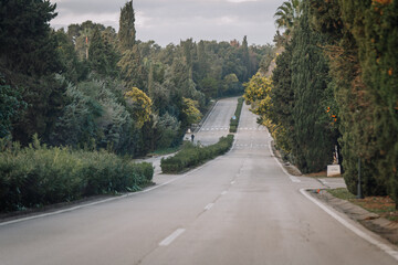 Fototapeta premium A quiet road lined with lush green trees and bushes, leading into a peaceful forested area under a cloudy sky.