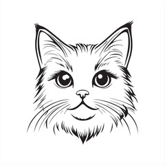 Adorable Fluffy Cat Portrait