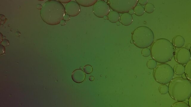 Oil bubbles movement abstract background. A motion of clear oil bubbles floating in colors liquid. Relaxing and artistic visual experience background. symbolizing fluidity science from oil and water.