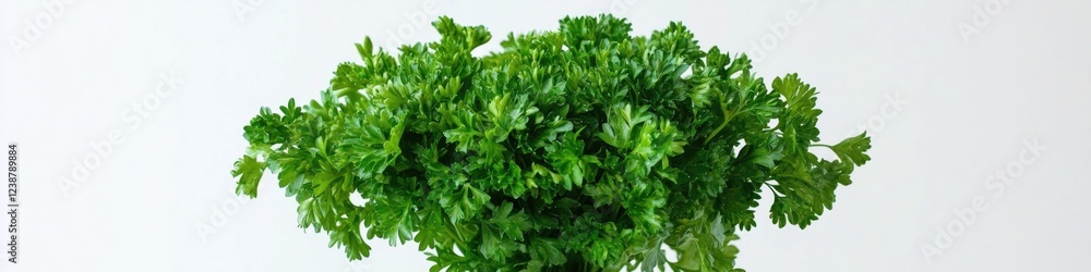 Poster fresh parsley arranged in a decorative vase on a table