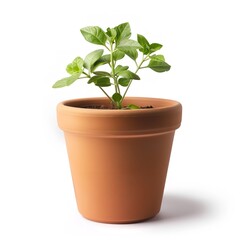 A plant planter empty on a bright background, Generative AI.