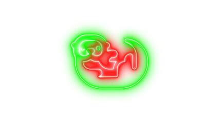 Fototapeta premium Neon otter icon green red color glowing with transparent background