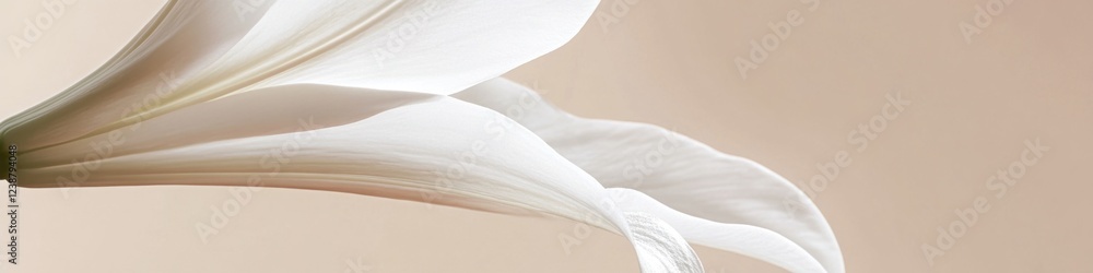 Poster a close-up of a single white flower sitting in a vase, perfect for decorating or as a symbol of simp