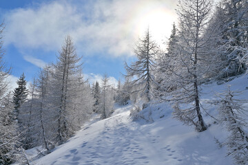 Winter mountain landscape with frost and snow covered trees seen by a winter ski tour in the...