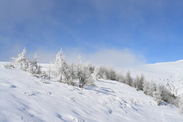 Sunny and foggy winter mountain landscape with frost and snow covered glistening trees during a winter ski tour in the popular Lachtal, Styria, Austria