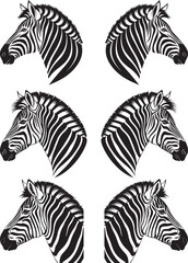 Set of zebra vector Adobe Illustrator Artwork