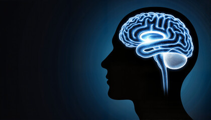 Obraz premium Silhouette of a human head with a glowing brain illustration for educational materials, blogs, websites, mental health awareness, presentations, and digital content focusing on neuroscience