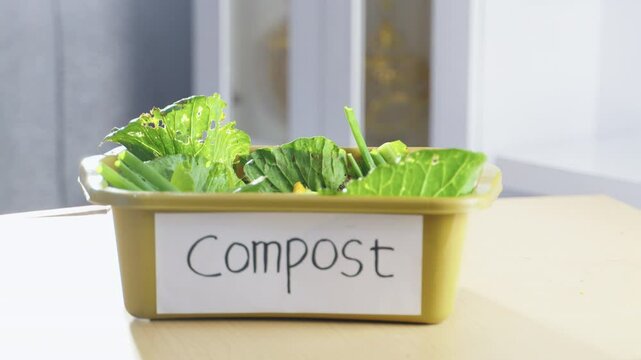 Leftover food and vegetable scraps for composting at home. Organic waste being placed in a compost bin for natural recycling. Food waste, organic compost, natural fertilizer, eco-friendly, recycling