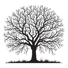 Silhouette vector illustration of a majestic oak tree