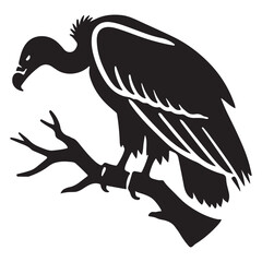 Fototapeta premium Silhouette of a Vulture Perched on a Branch