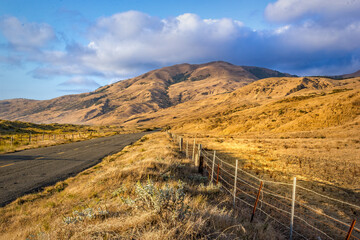 The golden meadows of the lost coat in California