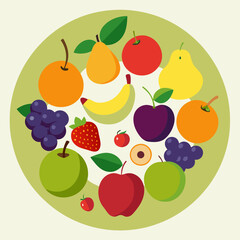 vector illustration of fruits