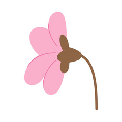 Delicate spring flower. Sakura flower Vectori llustration