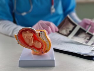 Gynecologist shows fetus to woman with ultrasound scan