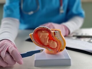 Gynecologist doctor holds scalpel and abortion anatomy of fetus of child.