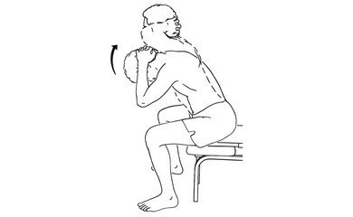 Seated Neck Stretch Exercise Illustration Fitness Guide for Neck Mobility and Pain Relief