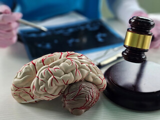 Human brain with wooden. Court and brain diseases artificial intelligence and transplantation...