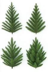 Obraz premium Four Christmas trees on a white surface