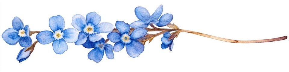 Watercolor illustration of blue flowers in bloom against a clean white background, ideal for use in designs, prints, and publications