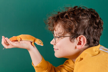 Curly cheerful shaggy shaggy boy with glasses holding orange eublepharis on green background. Concept of unusual pets that are safe for allergic children. 