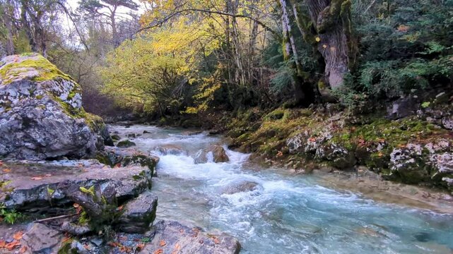 4K Belagua River in Isaba, Navarra - Stunning Natural Landscape with Crystal Clear Waters, Moss-Covered Rocks and Autumn Forest with Golden Leaves, Reflecting the Colors of Autumn in a Unique Mountain