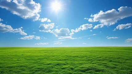 Fototapeta premium Blue sky with a few fluffy white clouds over a green field