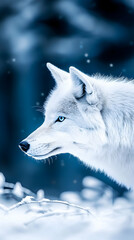 Naklejka premium Arctic wolf portrait, winter forest, snowy landscape, wildlife photography, nature background