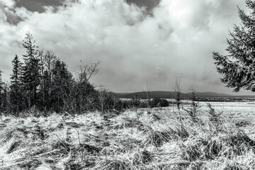 Landscapes - Forest - Europe, Romania, Suceava region