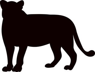 lioness silhouette on white background vector