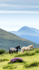 Icelandic horses graze peacefully on a mountain pasture, overlooking a serene landscape. Ideal for travel or nature publications