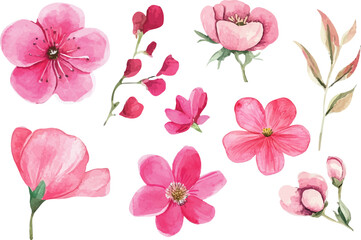 pink and white flowers