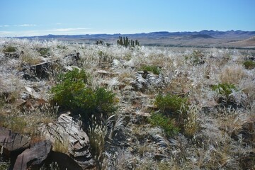 Landschaft in den Bergen des Namib Naukluft Park
