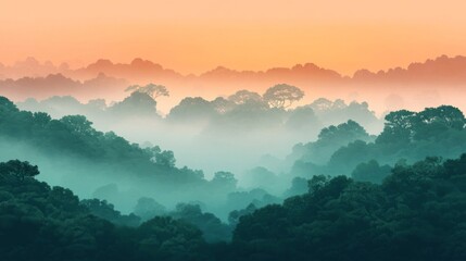 Fototapeta premium Misty Sunrise Over Lush Green Forest Hills