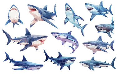 Fototapeta premium Cartoon sharks. Scary fish predator creature with scary jaws, sea underwater animal swimming set vector illustration